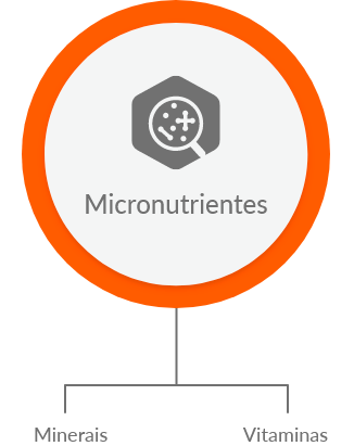 Formulação micronutientes
